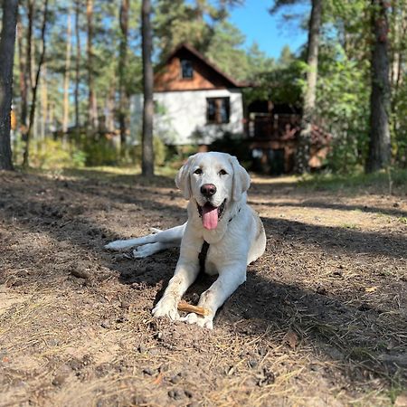 Masuria Warsaw Villa Skrzeszew Eksteriør billede