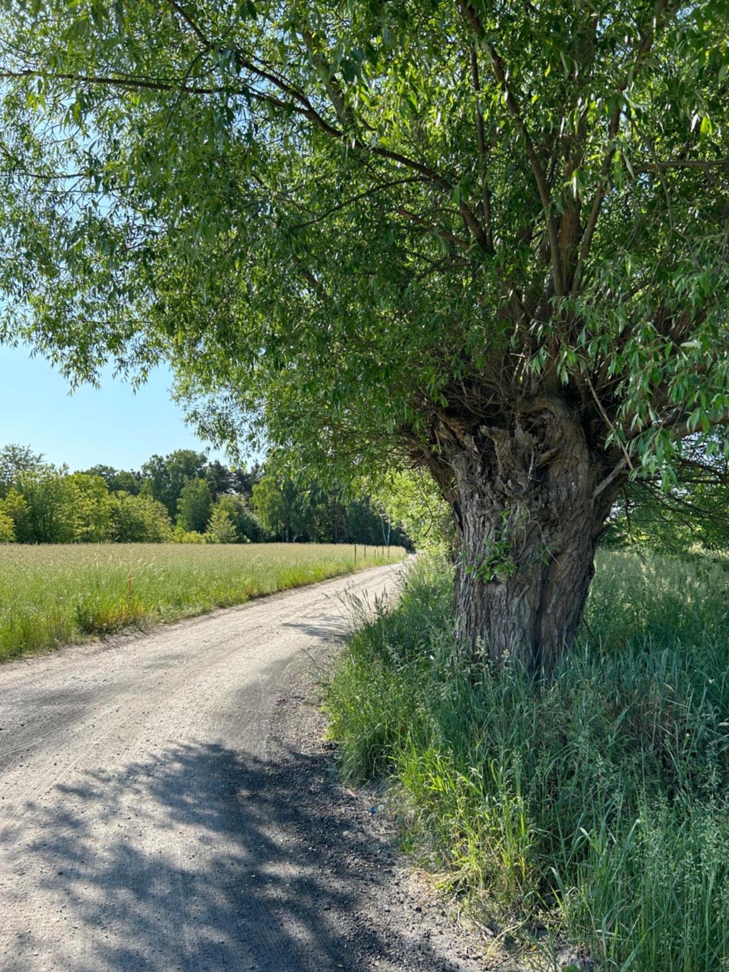 Masuria Warsaw Villa Skrzeszew Eksteriør billede