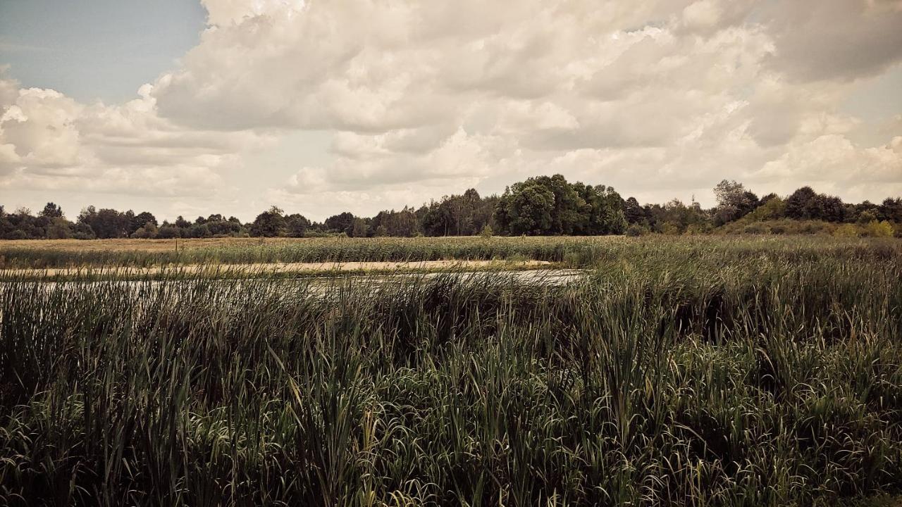 Masuria Warsaw Villa Skrzeszew Eksteriør billede