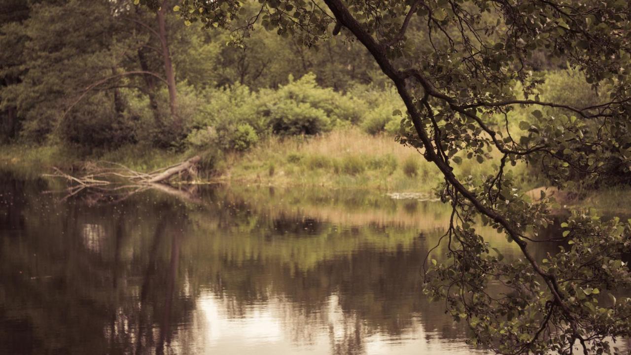 Masuria Warsaw Villa Skrzeszew Eksteriør billede